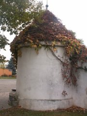 pohled zezadu zleva