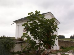 pohled zepředu zleva