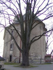 pohled zezadu