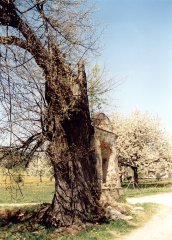 pohled zepředu zleva