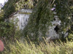 pohled zezadu zleva