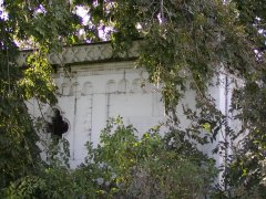 pohled zprava