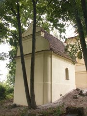 pohled zezadu zleva
