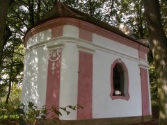 pohled zezadu zleva