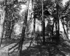 starší foto zříceniny kaple