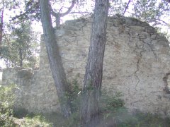 pohled zezadu zleva