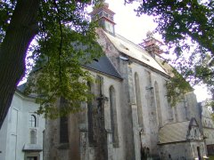 pohled zezadu zleva