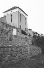 synagoga od jihozápadu po obnově