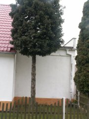 pohled zezadu