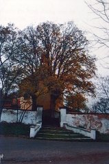 schodiště ke kostelu