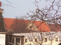 pohled zprava