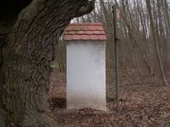 pohled zleva