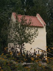 pohled zezadu zleva