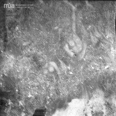 detail výmalby interiéru