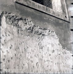 detail zdiva