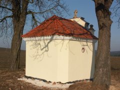 pohled zezadu zleva