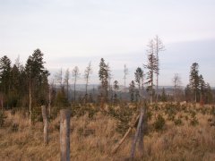 výhled od kaple
