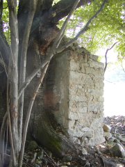pohled zezadu zleva
