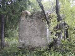 pohled zezadu zleva