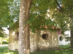 pohled zezadu zleva